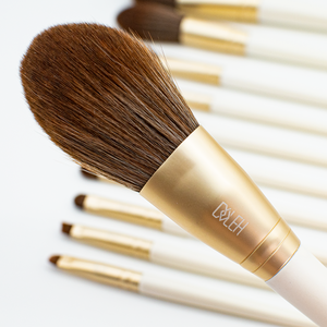 Lightweight Champagne Gold Travel Makeup Brush Set  （ 13pcs )
